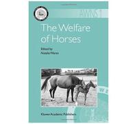 The Welfare Of Horses
