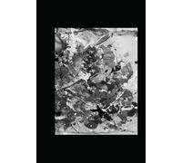 The White Book (Part I: Poems 1-100)