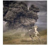 The White Buffalo – Year Of The Dark Horse – CD – Neuf