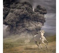 The White Buffalo Year of the Dark Horse (Vinyl) 12" Album