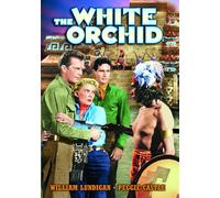 The White Orchid