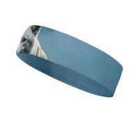 The White Wolf on the Rock Bandeau de sport pour homme et femme, s'adapte à toutes les tailles de tête, ultra absorbant et antidérapant pour la course à pied, le yoga, la gym