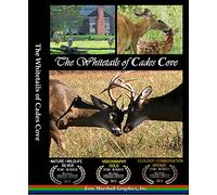 The Whitetails of Cades Cove