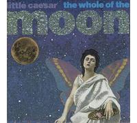 The Whole Of The Moon
