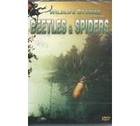 The Whole Story - Beetles and Spiders