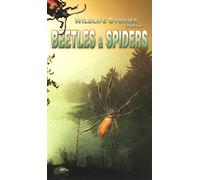 The Whole Story: Beetles & Spiders [VHS]