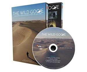 The Wild Goose: Discovering a Deeper Relationship with the Holy Spirit