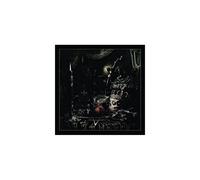 The Wild Hunt ?Dition Limit?E Vinyle Color?