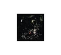 The Wild Hunt ?Dition Limit?E Vinyle Color?