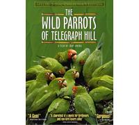 The Wild Parrots of Telegraph Hill