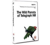The Wild Parrots Of Telegraph Hill G