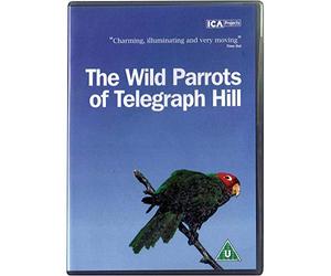 The Wild Parrots of Telegraph Hill [Import anglais]
