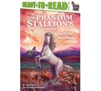 The Wild Stallion
