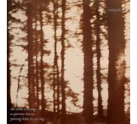 The Wind Is Strong - Cd Album