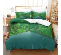 The Wind Rises Ensemble De Housse De Couette Imprim¿¿ D Avec Taie D'oreiller ¿¿ Fermeture ¿¿ Glissi¿¿Re Ensemble De Literie En Microfibre Douce Pour Enfan