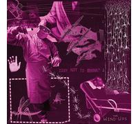 THE WIND-UPS - TRY NOT TO THINK VINYL LP NEUF