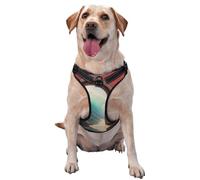 The Window Leading to The Sea Harnais de qualité supérieure pour chiens de petite, moyenne et grande taille - Durable, ne tire pas avec sangles réfléchissantes et boucles à dégagement rapide, taille M