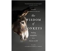 The Wisdom of Donkeys Andy Merrifield (Auteur)
