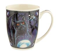 The Witches Apprentice Cat Lisa Parker Porcelain Mug MULP47