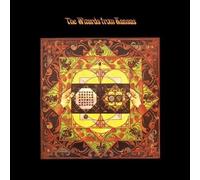 The Wizards from Kansas