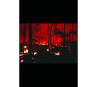 The Woman Who Carried an Old Sword in Her Eyes: Where Fear Hides in the Jungle