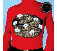 The Wombats Beautiful People Will Ruin Your Life (Vinyl) 12" Album