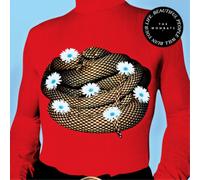 The Wombats Beautiful People Will Ruin Your Life (Vinyl) 12" Album