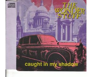 The Wonder Stuff - Caught in My Shadow