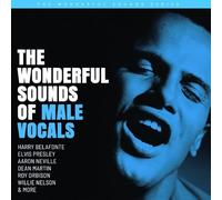 The Wonderful Sounds of Male Vocals (Various Artists)
