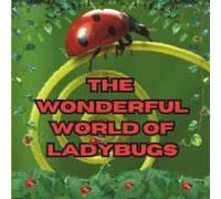 The Wonderful World Of Ladybugs