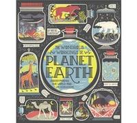 The Wondrous Workings of Planet Earth by Rachel Ignotofsky Rachel Ignotofsky (Auteur)