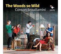The Woods So Wild – CD