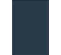 The Works of John Dryden Volume IX by John Dryden Hardcover Book John Dryden, John Loftis, Martin Mar-All, Vinto Dearing (Auteur)