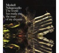 The World Has Made Me The Man Of My Dreams by Meshell Ndegeocello (2007-09-25)
