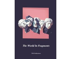 The World In Fragments