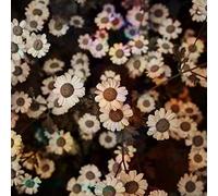 The World Is Still Chaos But I Feel Better