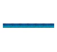The World of Eric Carle Shades of Blue Carson-Dellosa Publishing (Auteur)