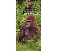The World of Primates by Contributions by Jeffrey Corwin Contributions by Jeffrey Corwin (Auteur)