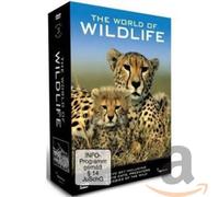 Various - World of Wildlife-Big Cats [Import]