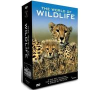 Various - World of Wildlife-Big Cats [Import]