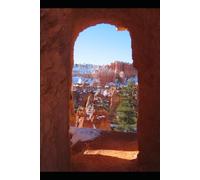 The World Outside My Window: A Story About First Love, Freedom, and Finding the Courage to Live