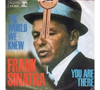 The world we knew (over and over) - You are there