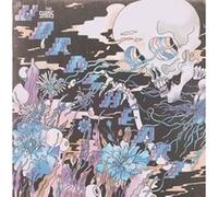 The Shins - The Worms Heart