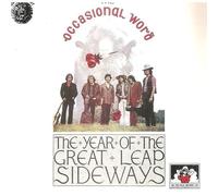 The Year Of The Great Leap Sideways