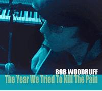 The Year We Tried To Kill The Pain by Bob Woodruff (2016-05-04)