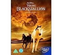 The Young Black Stallion – Disney – Import anglais