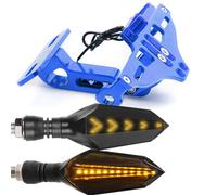 The Zanerian Manual Of Alphabets And Engrossing; An Instructor In Round Hand, Lettering, Engrossing, Designing, Pen And Brush Art, Etc