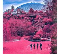 The Zolas – Swooner