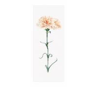 Théa Gouverneur Kit au point de croix compté "Carnation Peach Aïda", 17x42cm