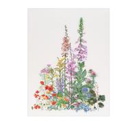 Thea Gouverneur Kit au point de croix compté "Fleurs sauvages américaines Aïda",
